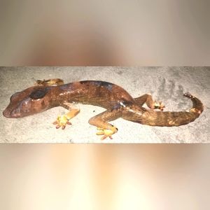 Lizard Art (Clear and Orange)